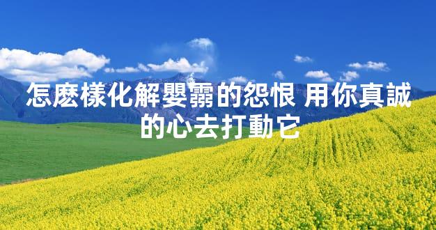 怎麽樣化解嬰霛的怨恨 用你真誠的心去打動它